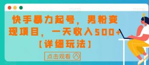 快手暴力起号,男粉变现项目,一天收入500+【详细玩法】【揭秘】-阳知网创资源库