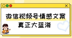 视频号情感文案，真正大蓝海，简单操作，新手小白轻松上手（教程+素材）【揭秘】-阳知网创资源库