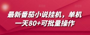最新番茄小说挂机,单机一天80+可批量操作【揭秘】-阳知网创资源库