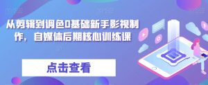 从剪辑到调色0基础新手影视制作，自媒体后期核心训练课-阳知网创资源库