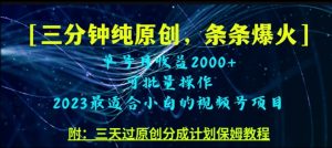 三分钟制作视频号纯原创，条条爆款，轻松月入过万【揭秘】-阳知网创资源库