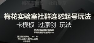 梅花实验室社群连怼起号玩法，卡模板过原创玩法【揭秘】-阳知网创资源库