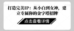 打造完美IP:从小白到女神,建立专属你的金字塔招牌-阳知网创资源库