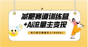 全新减肥赛道AI流量主+训练营变现玩法教程,蓝海冷门赛道小白轻松上手,月入10000+-阳知网创资源库
