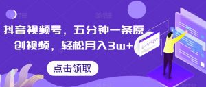 抖音视频号，五分钟一条原创视频，轻松月入3w+【独家秘诀，传授赚钱方法】【揭秘】-阳知网创资源库