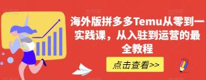 海外版拼多多Temu从零到一实践课，从入驻到运营的最全教程-阳知网创资源库