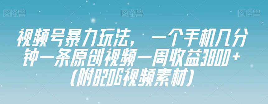视频号暴力玩法，一个手机几分钟一条原创视频一周收益3800+（附820G视频素材）-阳知网创资源库