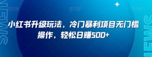 小淘项目专属付款链接-阳知网创资源库