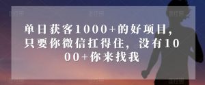 单日获客1000+的好项目，只要你微信扛得住，没有1000+你来找我【揭秘】-阳知网创资源库