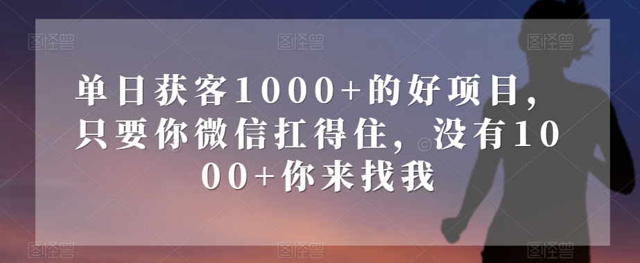 单日获客1000+的好项目，只要你微信扛得住，没有1000+你来找我【揭秘】-阳知网创资源库