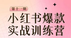 小红书博主爆款训练营第11期,手把手教你从0-1做小红书,从定位到起号到变现-阳知网创资源库