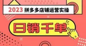 2023拼多多运营实操，每天30分钟日销1000＋，爆款选品技巧大全（10节课）-阳知网创资源库