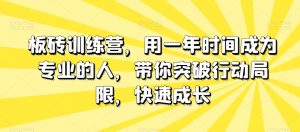 板砖训练营,用一年时间成为专业的人,带你突破行动局限,快速成长-阳知网创资源库
