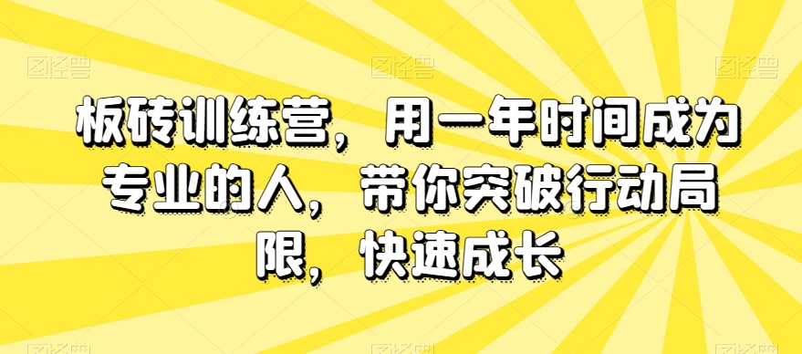 板砖训练营,用一年时间成为专业的人,带你突破行动局限,快速成长-阳知网创资源库