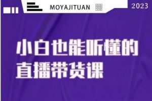 大威本威·能听懂的直播带货课,小白也能听懂,20节完整-阳知网创资源库