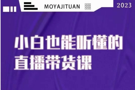 大威本威·能听懂的直播带货课,小白也能听懂,20节完整-阳知网创资源库