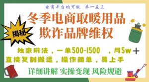 利用电商平台冬季销售取暖用品欺诈行为合理制裁店铺，单日入900+【仅揭秘】-阳知网创资源库