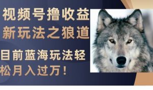 视频号撸收益新玩法之狼道,目前蓝海玩法,轻松月入过万【揭秘】-阳知网创资源库