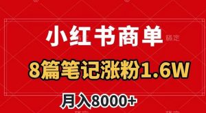 小红书商单最新玩法，8篇笔记涨粉1.6w，作品制作简单，月入8000+【揭秘】-阳知网创资源库