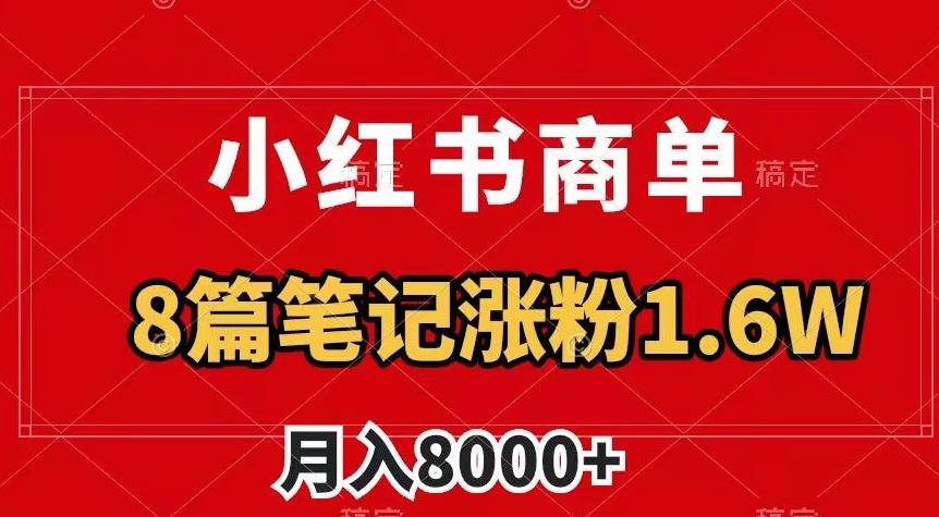 小红书商单最新玩法,8篇笔记涨粉1.6w,作品制作简单,月入8000+【揭秘】-阳知网创资源库
