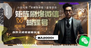 矩阵刷爆微信蝴蝶号创作者分成计划收益的新玩法,日入2000+【揭秘】-阳知网创资源库