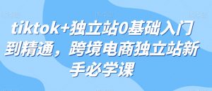 tiktok+独立站0基础入门到精通,跨境电商独立站新手必学课-阳知网创资源库
