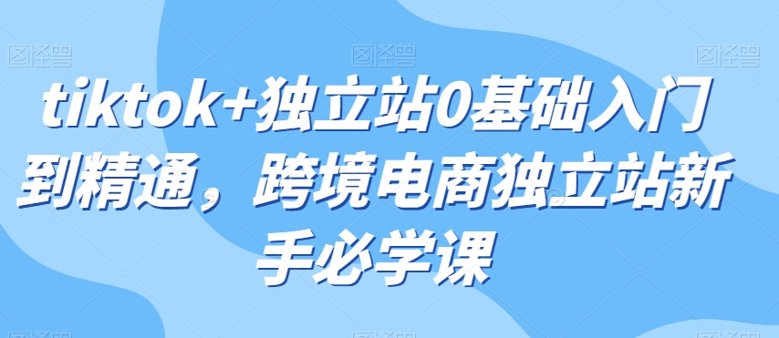 tiktok+独立站0基础入门到精通,跨境电商独立站新手必学课-阳知网创资源库