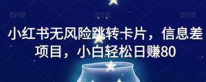 小红书无风险跳转卡片，信息差项目，小白轻松日赚800【揭秘】-阳知网创资源库