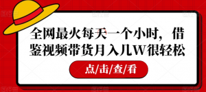 全网最火每天一个小时，借鉴视频带货月入几W很轻松【揭秘】-阳知网创资源库