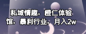 私域情趣，橙仁体验馆，暴利行业，月入2w【揭秘】-阳知网创资源库