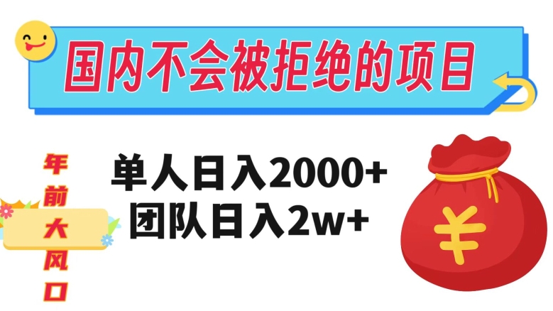 在国内不怕被拒绝的项目,单人日入2000,团队日入20000+【揭秘】-阳知网创资源库