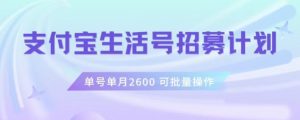 支付宝生活号作者招募计划，单号单月2600，可批量去做，工作室一人一个月轻松1w+【揭秘】-阳知网创资源库