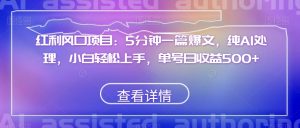 红利风口项目:5分钟一篇爆文,纯AI处理,小白轻松上手,单号日收益500+【揭秘】-阳知网创资源库
