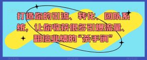 打造你的引流、转化、团队系统,让你收获很多引爆流量、翻倍业绩的“杀手锏”-阳知网创资源库