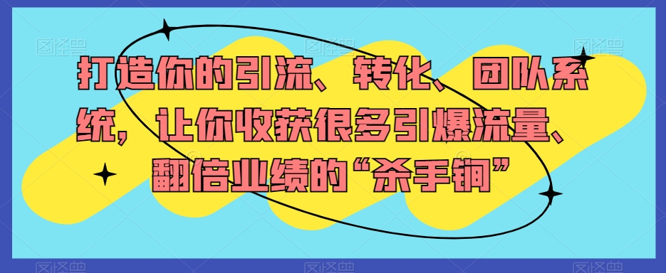 打造你的引流、转化、团队系统,让你收获很多引爆流量、翻倍业绩的“杀手锏”-阳知网创资源库