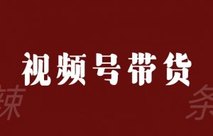 视频号带货联盟,赚信息差的带货钱,只需手机随时随地都可以做!-阳知网创资源库