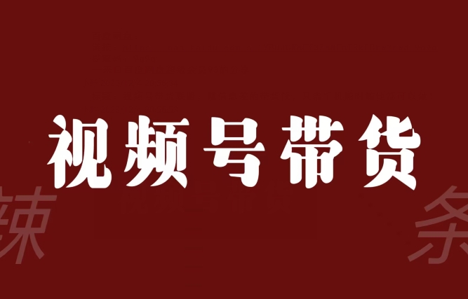 视频号带货联盟,赚信息差的带货钱,只需手机随时随地都可以做!-阳知网创资源库