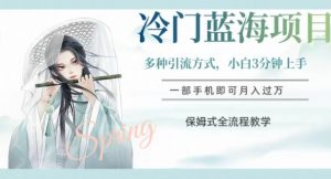 冷门蓝海项目,操作简单,小白3分钟上手,多种引流方式,保姆式全流程教学【揭秘】-阳知网创资源库