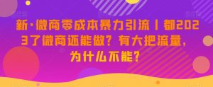 新·微商零成本暴力引流丨都2023了微商还能做？有大把流量，为什么不能？-阳知网创资源库