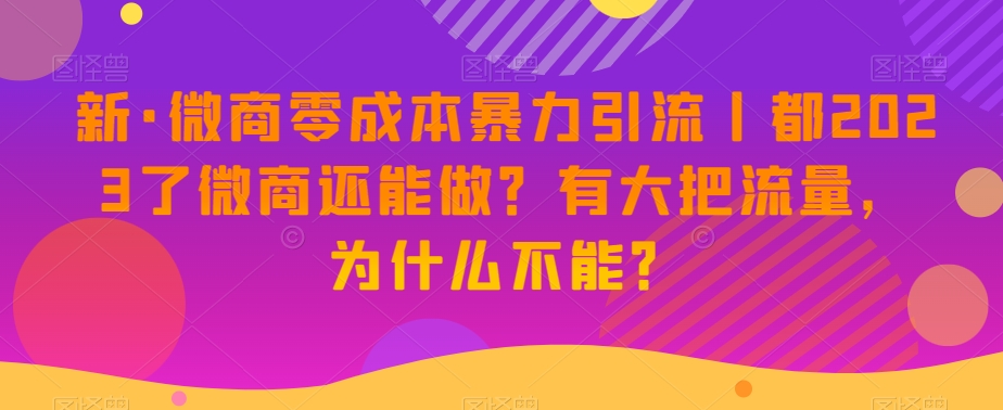 新·微商零成本暴力引流丨都2023了微商还能做？有大把流量，为什么不能？-阳知网创资源库