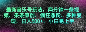 最新音乐号玩法,两分钟一条视频,条条原创,疯狂涨粉,多种变现,日入500+,小白易上手【揭秘】-阳知网创资源库
