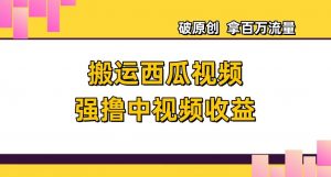 搬运西瓜视频强撸中视频收益,日赚600+破原创,拿百万流量【揭秘】-阳知网创资源库