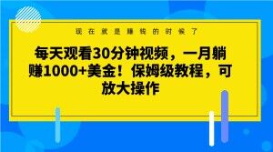 每天观看30分钟视频,一月躺赚1000+美金!保姆级教程,可放大操作【揭秘】-阳知网创资源库