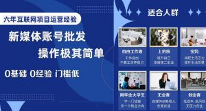 新媒体账号批发，操作极其简单，0基础0经验门槛低【揭秘】-阳知网创资源库