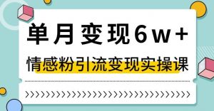 单月变现6W+,抖音情感粉引流变现实操课,小白可做,轻松上手,独家赛道【揭秘】-阳知网创资源库