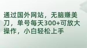 通过国外网站，无脑赚美刀，单号每天300+可放大操作，小白轻松上手【揭秘】-阳知网创资源库