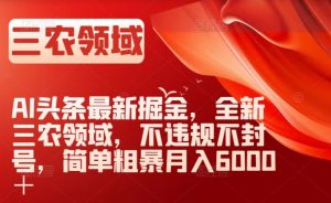 AI头条最新掘金,全新三农领域,不违规不封号,简单粗暴月入6000+【揭秘】-阳知网创资源库