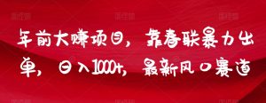 年前大赚项目，靠春联暴力出单，日入1000+，最新风口赛道【揭秘】-阳知网创资源库