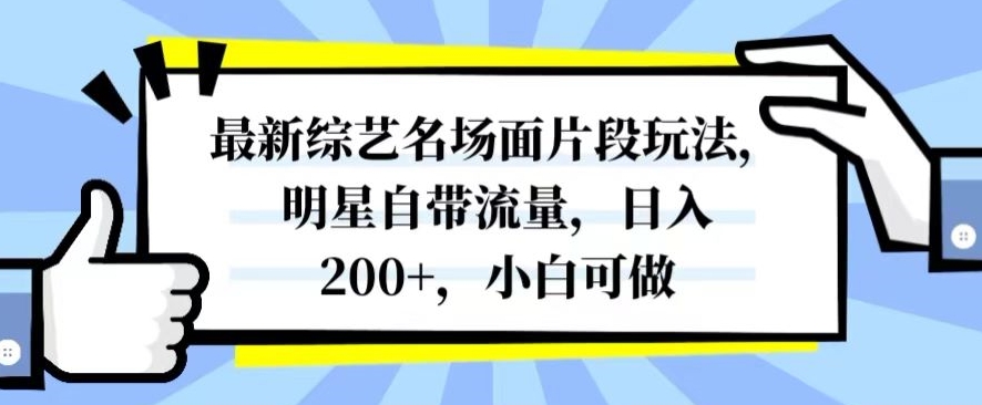 最新综艺名场面片段玩法，明星自带流量，日入200+，小白可做【揭秘】-阳知网创资源库