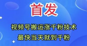 全网首发：视频号无脑搬运涨千粉技术，最快当天到千粉【揭秘】-阳知网创资源库